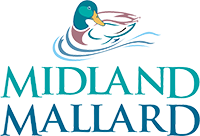 Midland Mallard